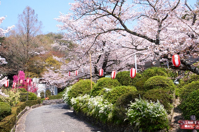 五月山公園の写真