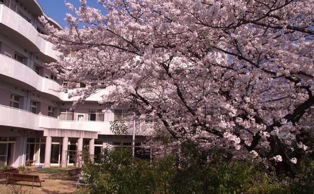 桜咲く施設の外観